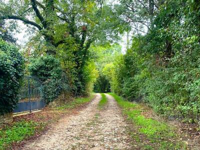 BROUCHAUD-Boucle des Genevriers-Chemin