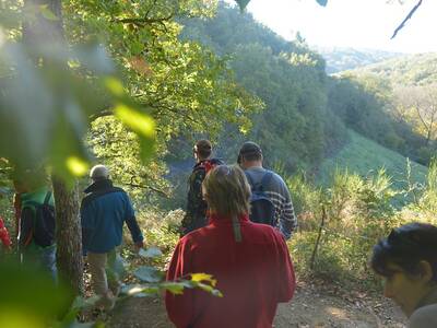 R_auvézère gorges