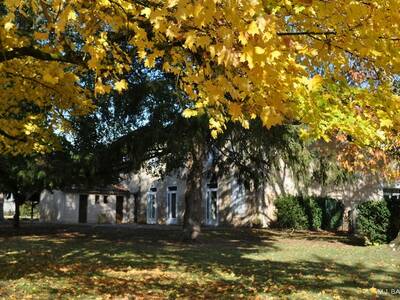 StVincent_com_automne