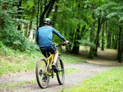 VTT - DSC_6857 - Dan Courtice