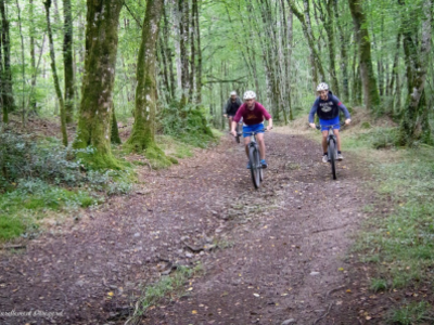 VTT NP 1