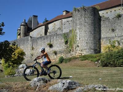 VTT-chateau
