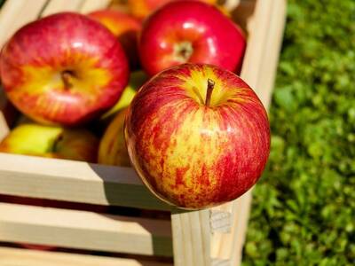 apple-1589874_1280
