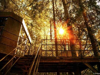cabane-metal-spa