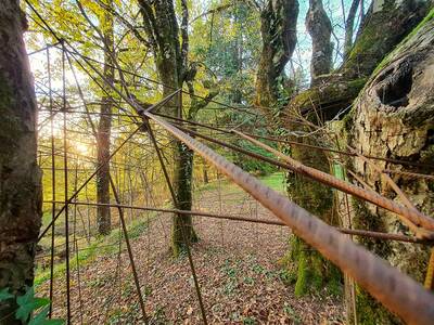 jardin-dhelys-cage-©benoit-rocher