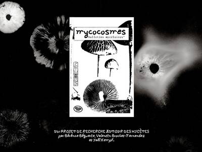 mycocosmes_1