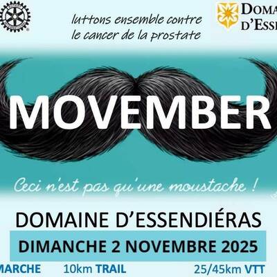 nov 2 movember