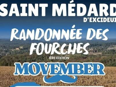 nov 8 rando