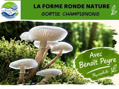 champignon - 1