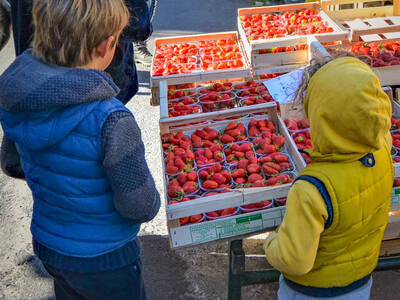 st-vincent-marché (24)