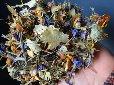 tisane christmas ©Elea Marchand