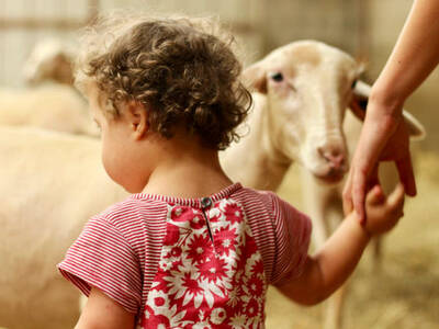 visite-ferme-pedagogiqueV
