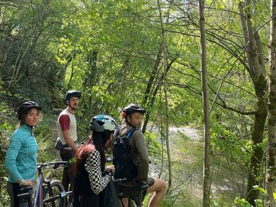 vtt feelout-1